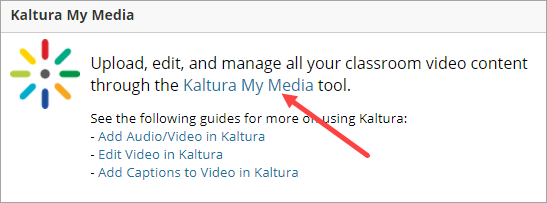 Kaltura My Media link from the ulearn homepage.